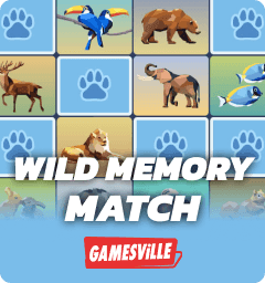 Wild Memory Match