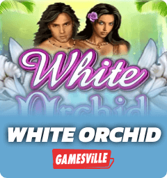 White Orchid